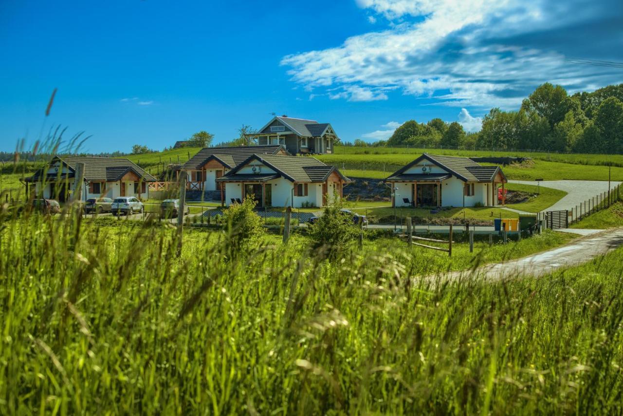 Krzywe Zwierciadlo Апартаменти Мронгово